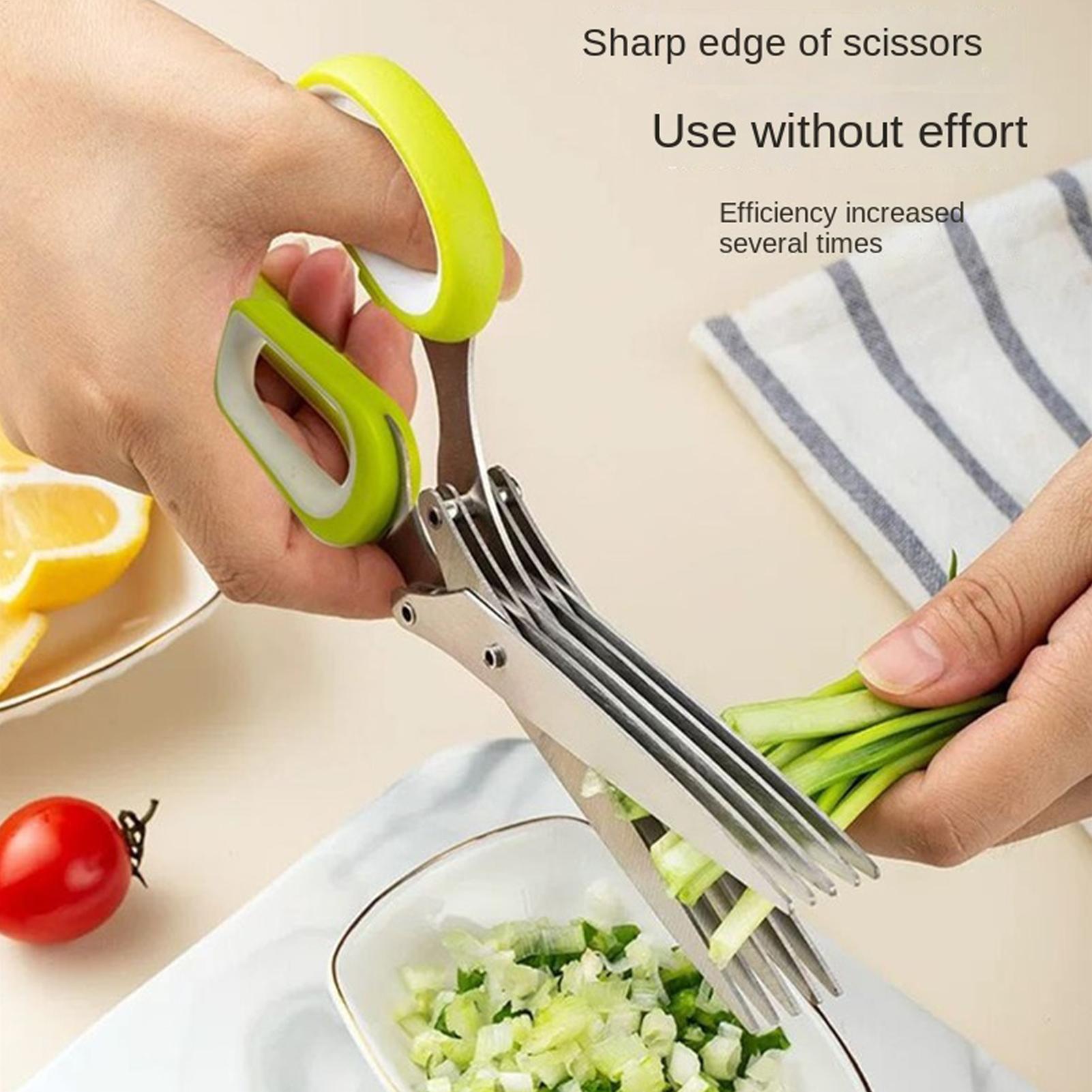 Nożyczki do ziół z 5 ostrzami  – Herb Scissors 5 Blade recenzja i cena