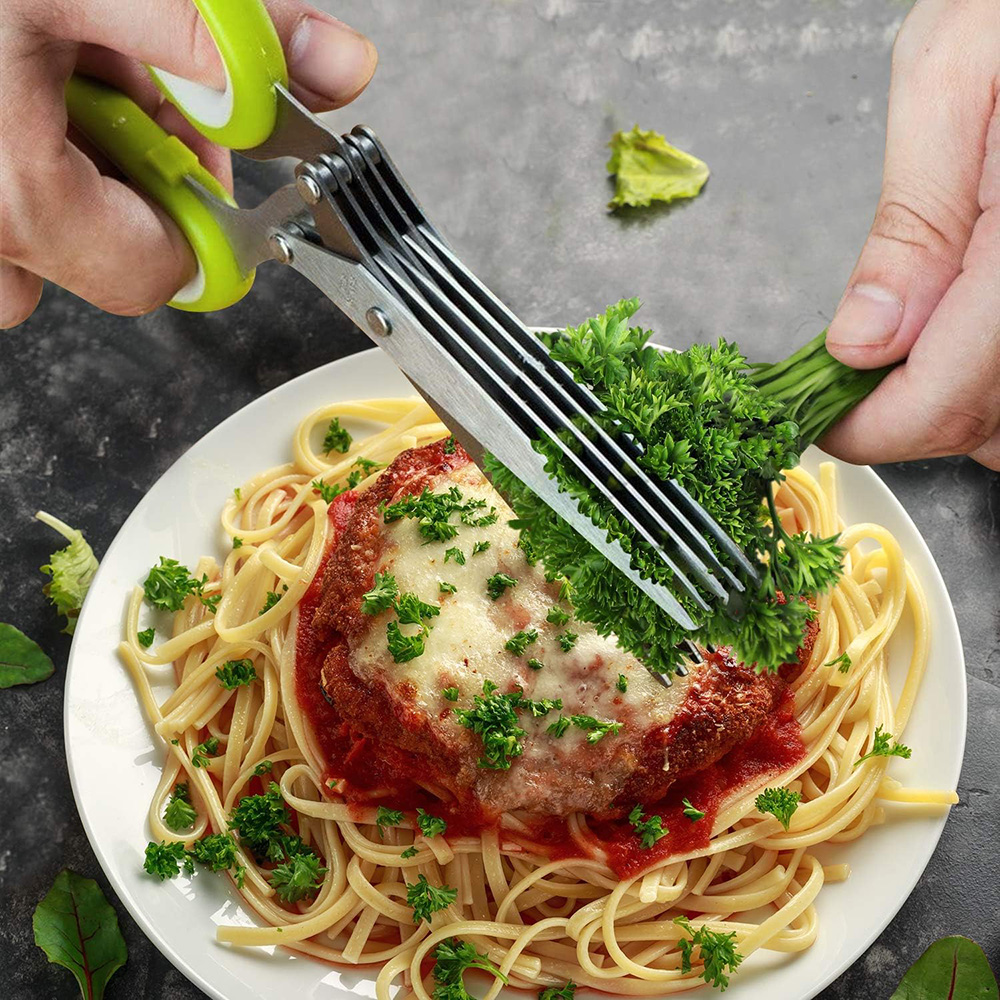 Nożyce do ziół Nożyce kuchenne – Herb Scissors 5 Blade recenzja i cena